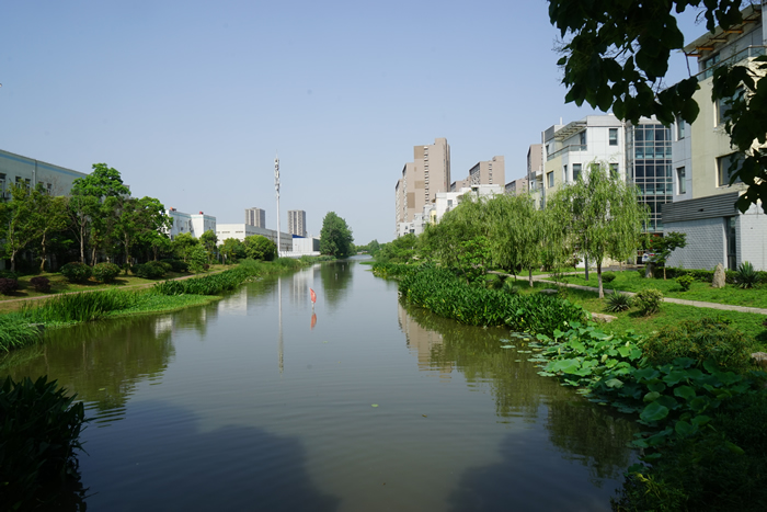 澛港西區(qū)水系