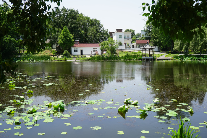 陶辛鎮(zhèn)沙墩村地表水生態(tài)修復(fù)項(xiàng)目