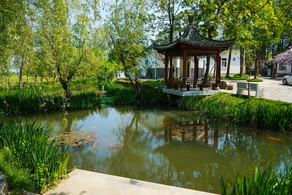 DSC00639.jpg DSC00639.jpg